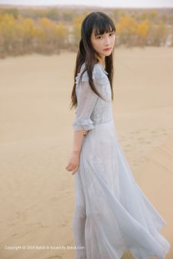 小燕子h